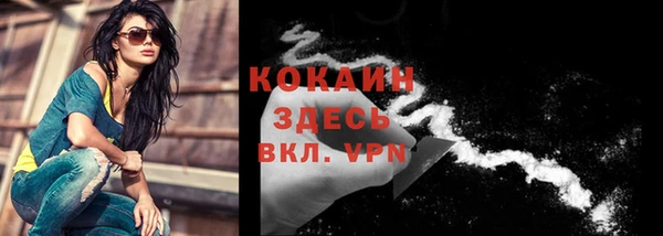 мескалин Богородицк