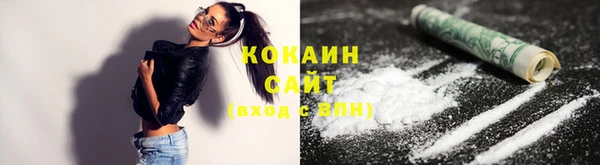 шишки Богданович