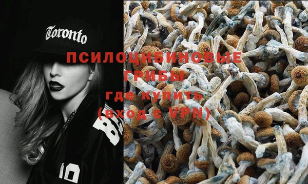 шишки Богданович