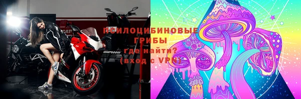 дживик Белокуриха